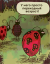 [Мама-терапия] [Дарья Гинзбург] Отношения с подростками (2026).png