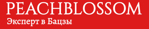 [Tatiana Astro] Родственные связи в Бацзы (2019) (2019).png