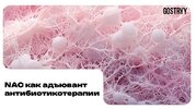 [Андрей Гострый] NAC как адьювент антибиотикотерапии (2025).jpg