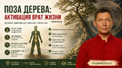 [Тариф Стандарт] [Владимир Осипов] Поза дерева активация врат жизни (2026).png