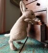 [Вязаные игрушки] [Вяжи ру] [Claire Garland] Вязанный спицами кролик Wabbit the Rabbit (2025) ...jpg