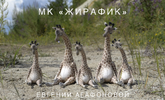 [Куклы] [Евгения Агафонова] Жирафик (2022) (2022).png
