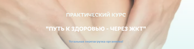 [Светлана Литвиненко] Путь к здоровью - через ЖКТ (2020) (2020).png