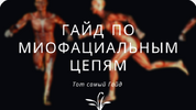 [Юлия Грошева] Гайд по кинетическим миофасциальным цепям (2026).png