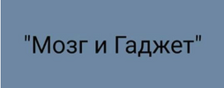[Салима Саиди] Мозг и гаджет (2020) (2020).png