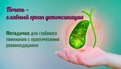 [МАН] Печень – главный орган детоксикации (2026).png