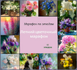 [Виталий Антипин] Летний цветочный марафон (2026) (2026).png