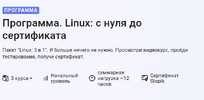 [Stepik] [Pragmatic Programmer] Программа  Linux с нуля до сертификата (2026).png