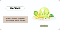 [Юлия Шефова] Магний  Ключ к вашему здоровью и здоровью ваших близких (2026).png