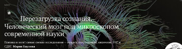 [Magisteria] [Мария Баулина] Перезагрузка сознания  Человеческий мозг под микроскопом современ...jpg