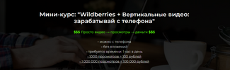 [Александр Пуминов] Wildberries + Вертикальные видео зарабатывай с телефона (2026).png