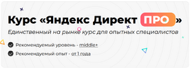 [Дарья Дейн] Яндекс Директ Про (2026) (2025).png