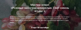 [lectoroom] [Елена Базанова] Розовый виноград акварелью  Свет сквозь ягоды (2026).jpg