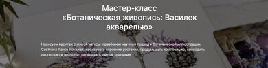 [lectoroom] [Светлана Лансе] Ботаническая живопись Василек акварелью (2026).jpg