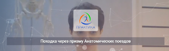 [Центр Практика] [Ольга Романова] Походка через призму Анатомических поездов (2025).png