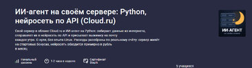 [Stepik] [Максим Мигутин] ИИ-агент на своём сервере Python, нейросеть по API (Cloud ru) (2026).jpg