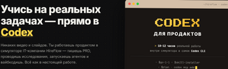 [Евгения Одуд] Codex для продактов (2026).png