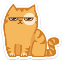 cat2 {cat2} {cat2}