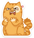 cat8 {cat8} {cat8}