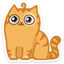 cat9 {cat9} {cat9}