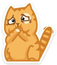 cat27 {cat27} {cat27}